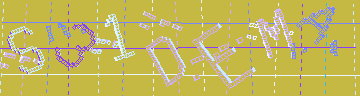 CAPTCHA 認証コード