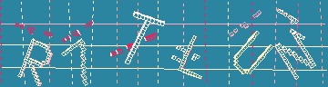 CAPTCHA 認証コード