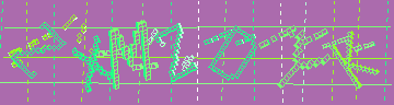 CAPTCHA 認証コード