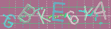 CAPTCHA 認証コード