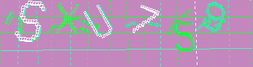CAPTCHA 認証コード
