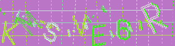 CAPTCHA 認証コード