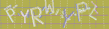 CAPTCHA 認証コード