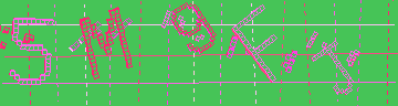 CAPTCHA 認証コード