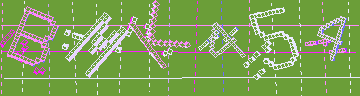 CAPTCHA 認証コード