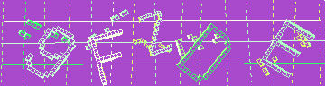 CAPTCHA 認証コード