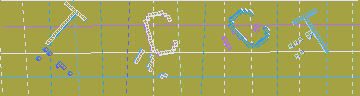 CAPTCHA 認証コード