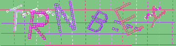 CAPTCHA 認証コード