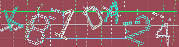 CAPTCHA 認証コード