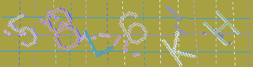 CAPTCHA 認証コード