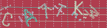 CAPTCHA 認証コード
