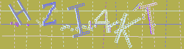 CAPTCHA 認証コード