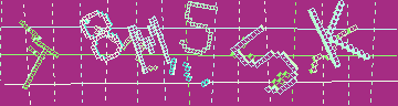 CAPTCHA 認証コード