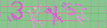 CAPTCHA 認証コード