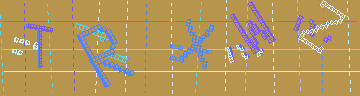 CAPTCHA 認証コード