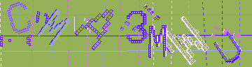 CAPTCHA 認証コード