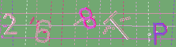 CAPTCHA 認証コード