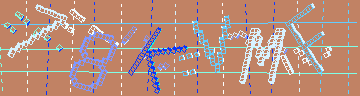 CAPTCHA 認証コード