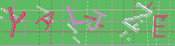 CAPTCHA 認証コード