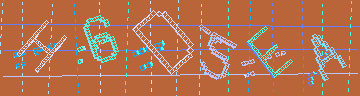 CAPTCHA 認証コード