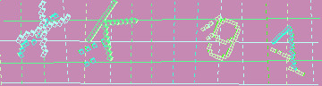 CAPTCHA 認証コード