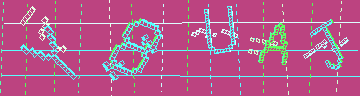 CAPTCHA 認証コード