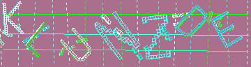 CAPTCHA 認証コード