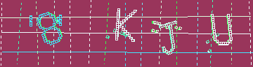 CAPTCHA 認証コード