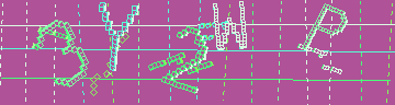 CAPTCHA 認証コード