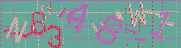 CAPTCHA 認証コード