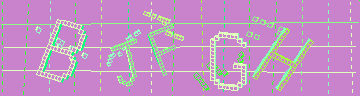 CAPTCHA 認証コード