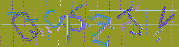 CAPTCHA 認証コード