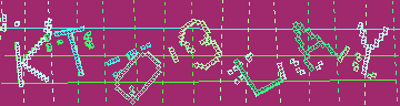 CAPTCHA 認証コード