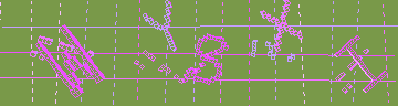 CAPTCHA 認証コード