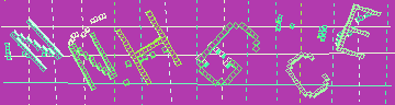 CAPTCHA 認証コード