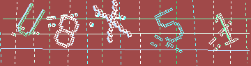 CAPTCHA 認証コード