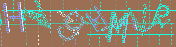 CAPTCHA 認証コード