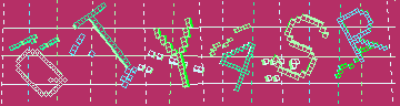 CAPTCHA 認証コード