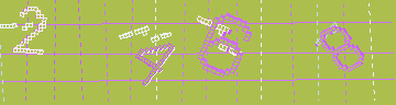 CAPTCHA 認証コード