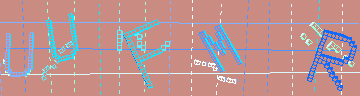 CAPTCHA 認証コード