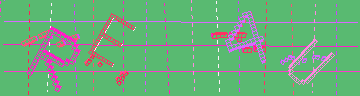 CAPTCHA 認証コード