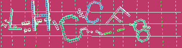 CAPTCHA 認証コード